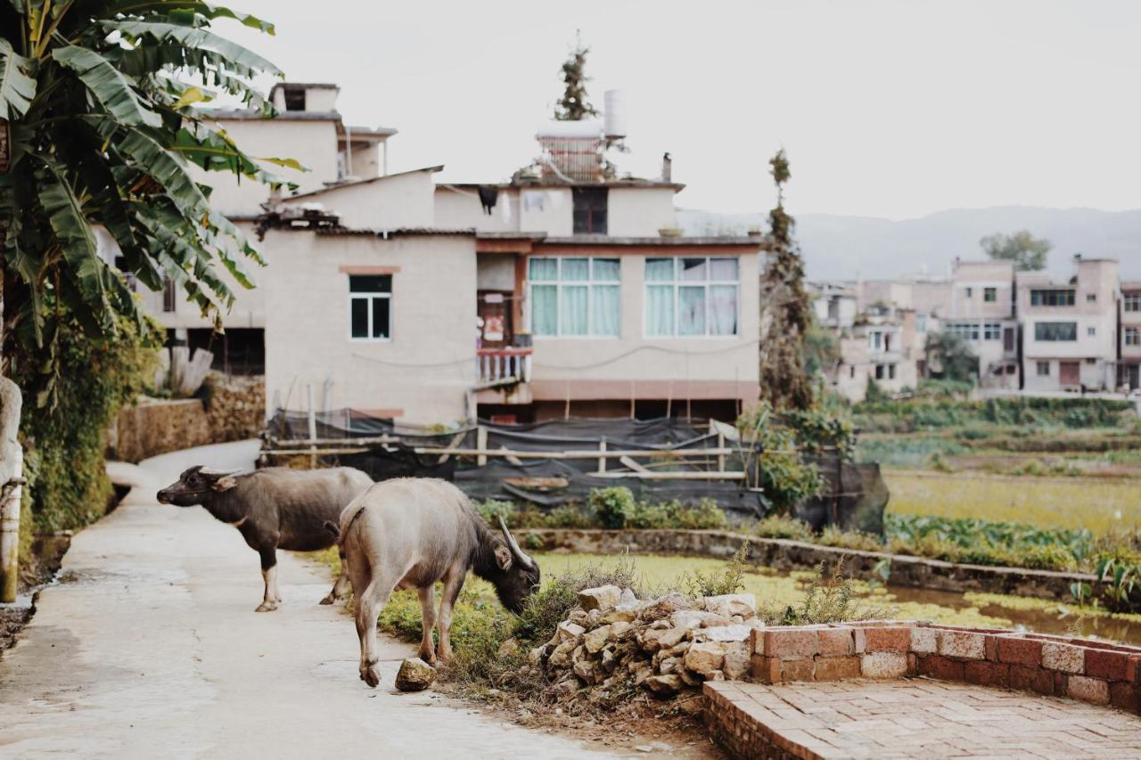 The Twelve Manor•Terraces Lodge Kreis Yuanyang Exterior foto